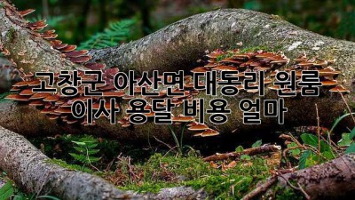 고창군 아산면 대동리 원룸 이사 용달 비용 얼마?